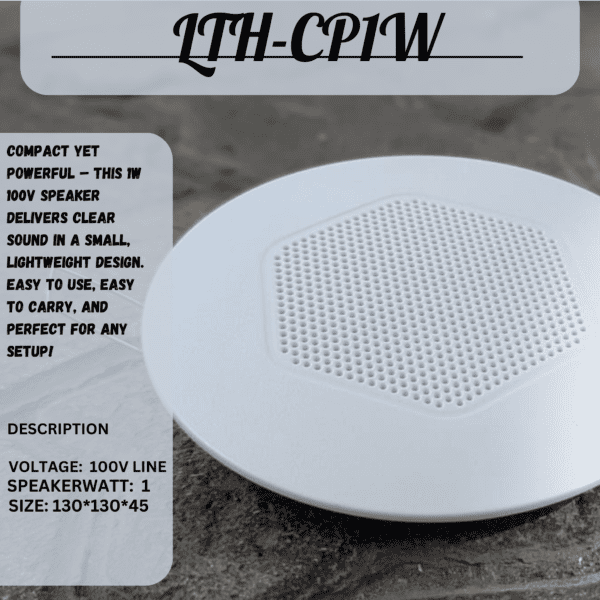 best powerful speaker LTH-CPIW