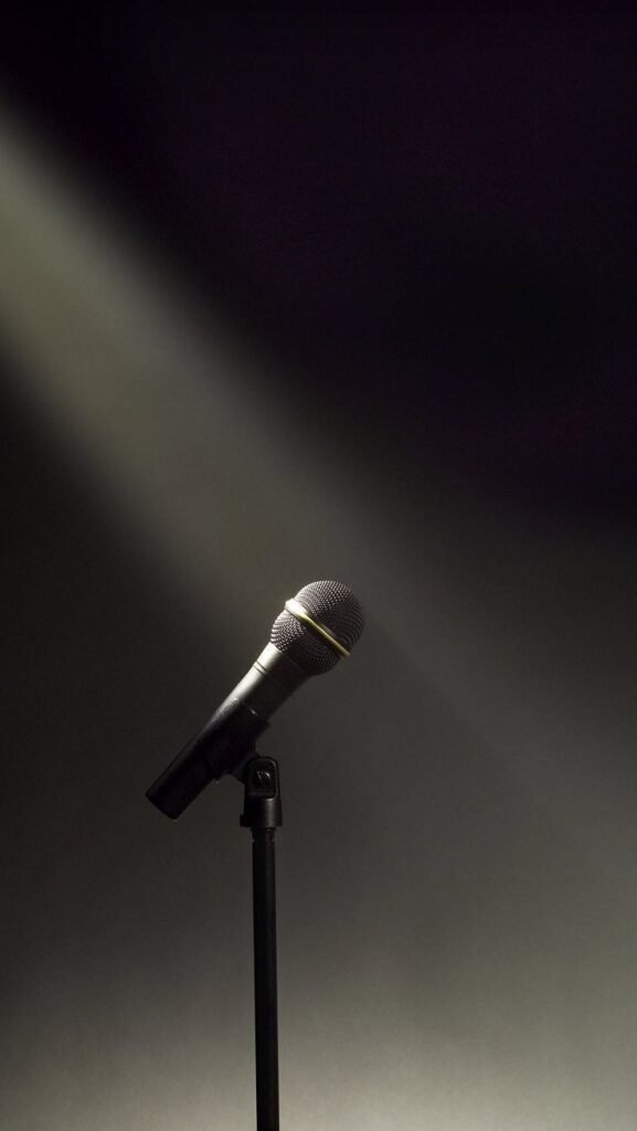Best Handheld Microphones